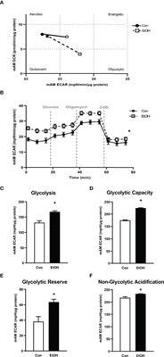 Alcohol-Induced Glycolytic Shift in Alveolar Macrophages Is Mediated by Hypoxia-Inducible Factor-1 Alpha